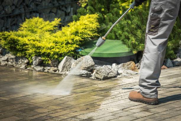 Best Spring Cleaning  in Puxico, MO