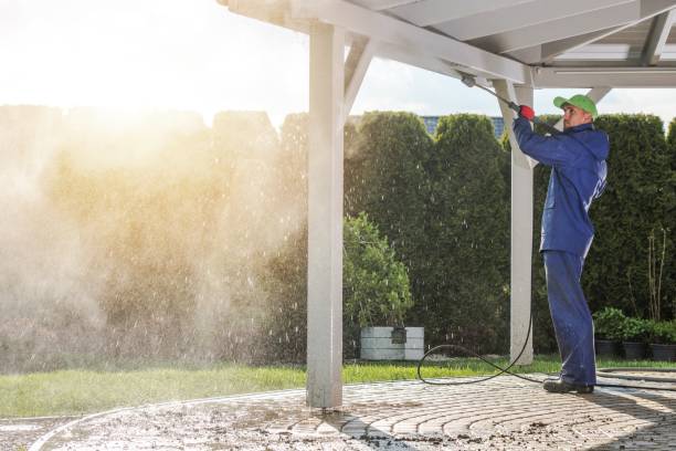 Best Animal Enclosure Cleaning  in Puxico, MO